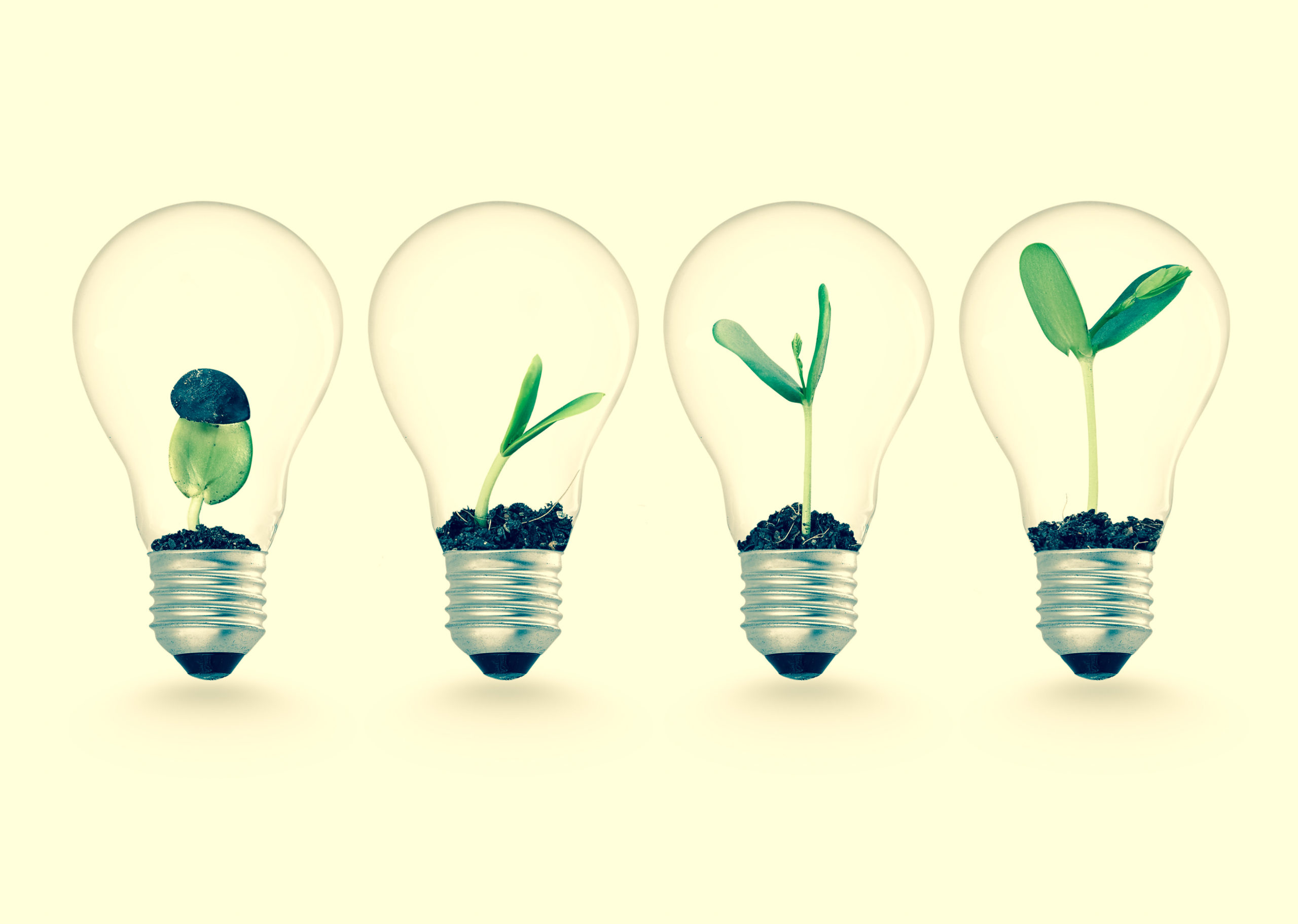 Business growth